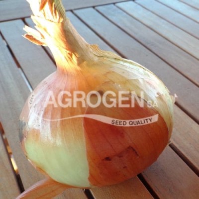 sporos-kremmudi-agrogen