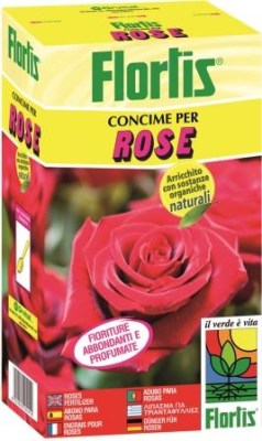 LIPASMA_TRIANTAFYLLIAS