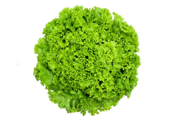 Σπόροι για πράσινη σαλάτα (μαρούλι)