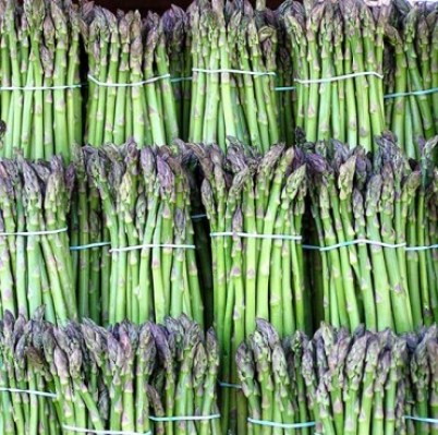 asparagus1