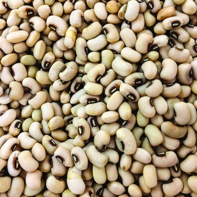 Φασόλι Σπόρος Αμπελοφάσουλο Μαυρομάτικο