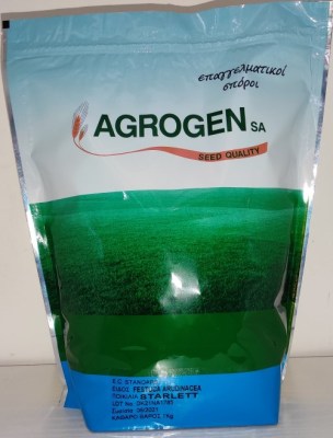 Σπόροι γκαζόν φεστούκα