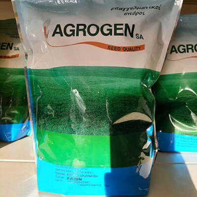 Γκαζόν φεστούκα πλατύφυλλη