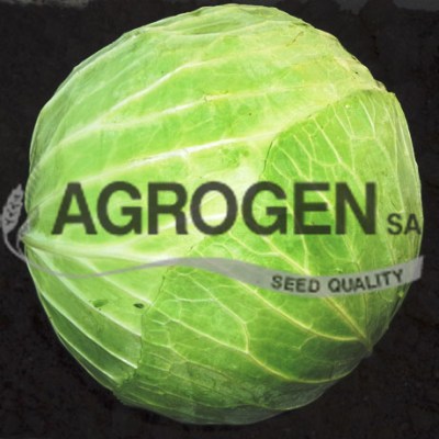 ΣΠΟΡΟΙ ΝΤΟΠΙΟ ΛΑΧΑΝΟ ΚΙΛΚΙΣ