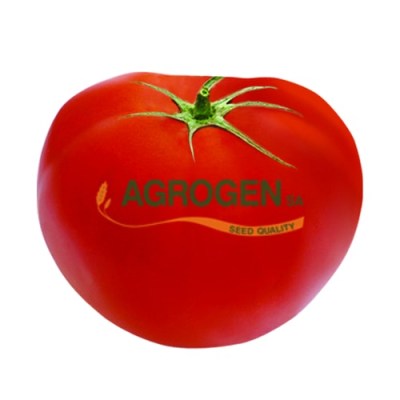 ΕΛΛΗΝΙΚΟΙ ΣΠΟΡΟΙ ΝΤΟΜΑΤΑΣ ΜΑΚΕΔΟΝΙΑ