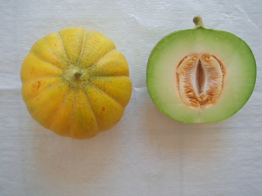 Πεπόνι Ζακύνθου Σπόροι