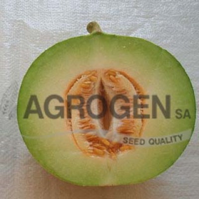 Πεπόνι Ζακύνθου Σπόροι