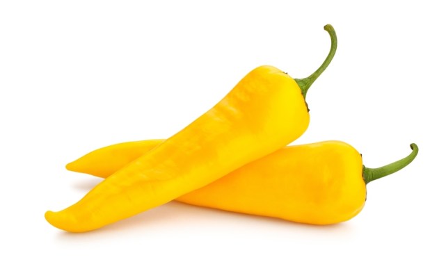 piperia-CORNO-DI-TORO-GIALLO