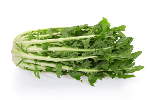 Σπόρος Ραδίκι Ήμερο