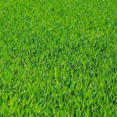 ΓΚΑΖΟΝ ΜΙΓΜΑ ΘΑΛΑΣΣΗΣ