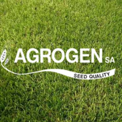 Σπόροι γκαζόν Αγριάδα Βερμούδα Ουγκάντα