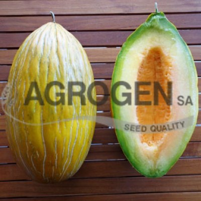 Σπόροι για Πεπόνι Αργίτικο