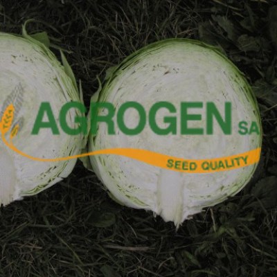 ΛΑΧΑΝΟ ΣΠΟΡΟΙ ΥΒΡΙΔΙΟ