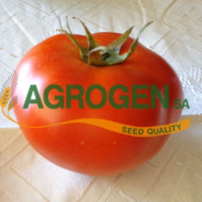 Σπόροι Ντομάτας Αγορά